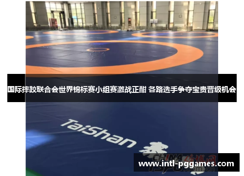 国际摔跤联合会世界锦标赛小组赛激战正酣 各路选手争夺宝贵晋级机会 国际摔跤联合会世界锦标赛小组赛激战正酣 各路选手争夺宝贵晋级机会