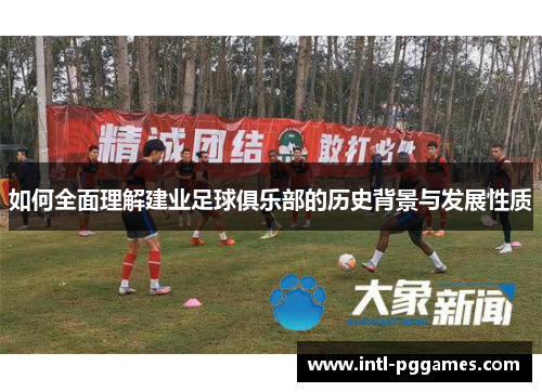 如何全面理解建业足球俱乐部的历史背景与发展性质