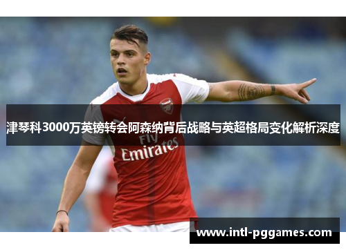 津琴科3000万英镑转会阿森纳背后战略与英超格局变化解析深度